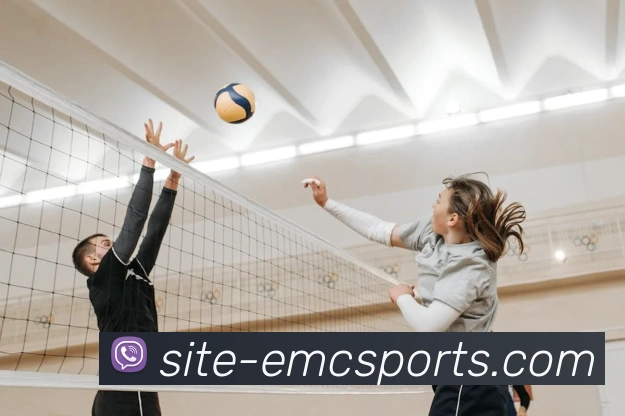 体育下注APP 高清赛事图