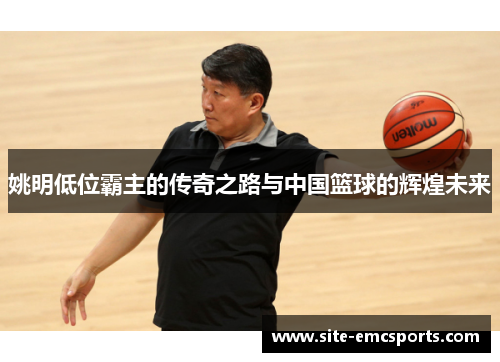 姚明低位霸主的传奇之路与中国篮球的辉煌未来