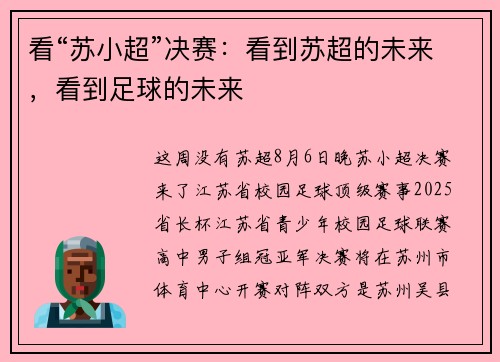 看“苏小超”决赛：看到苏超的未来，看到足球的未来